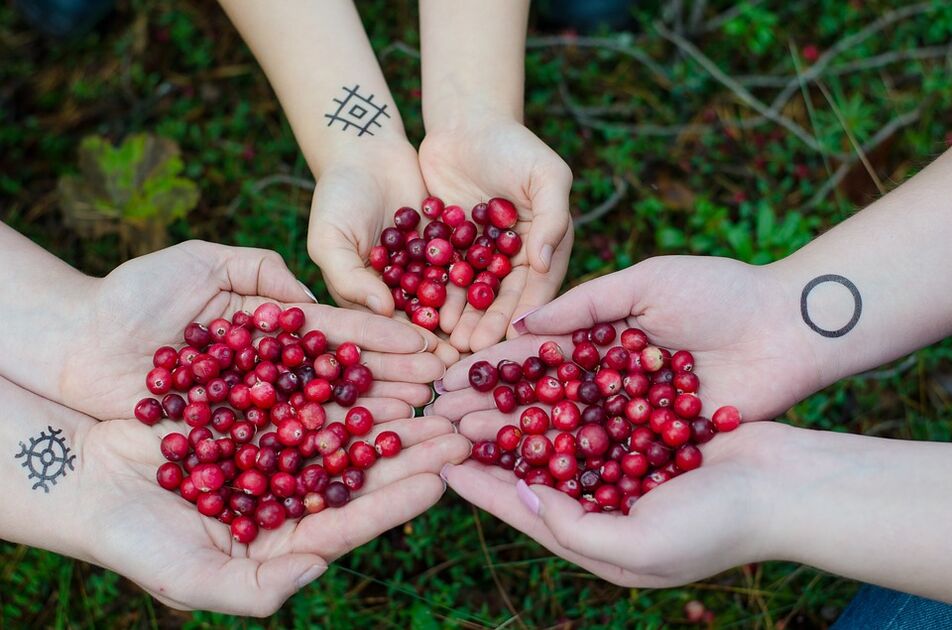 Cranberries for potential