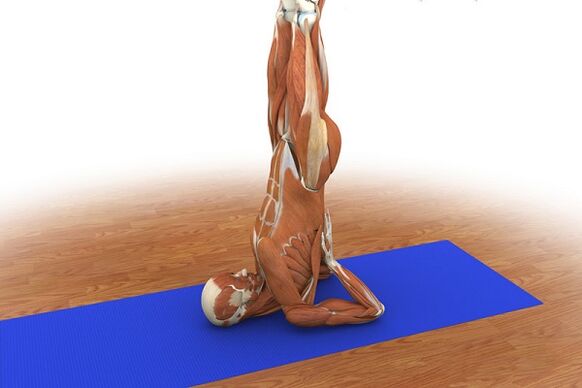 Exercise for birch potential